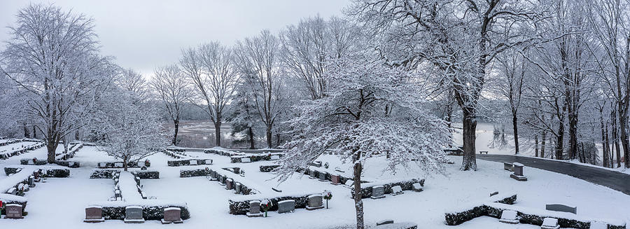 Winter Photograph - The quiet snow by David Bishop