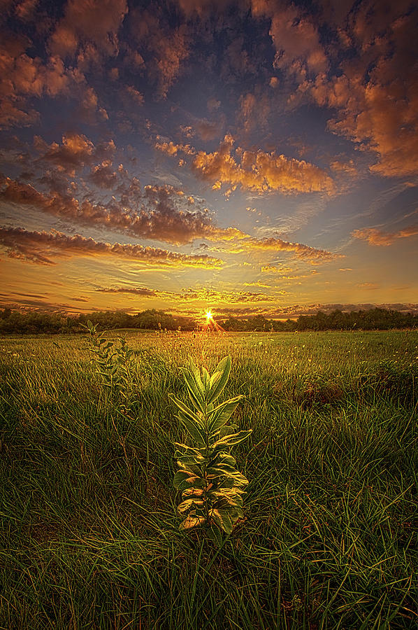 The Quietest of All Moments Photograph by Phil Koch