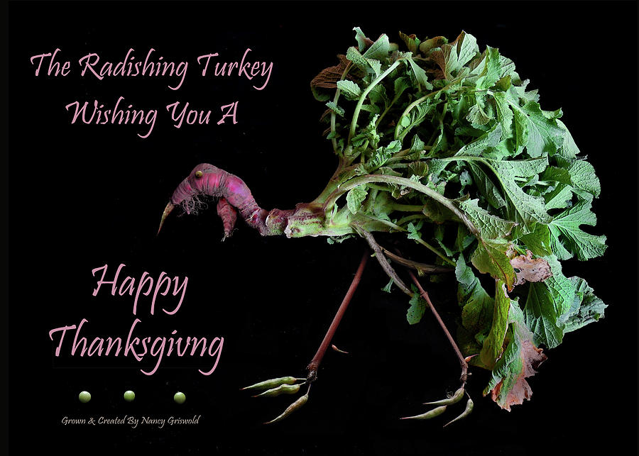 The Radishing Turkey Wishing You A Happy Thanksgiving Photograph by Nancy Griswold