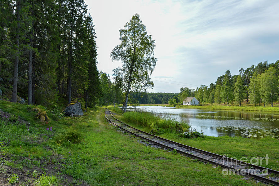 The Railway Photograph by Torfinn Johannessen