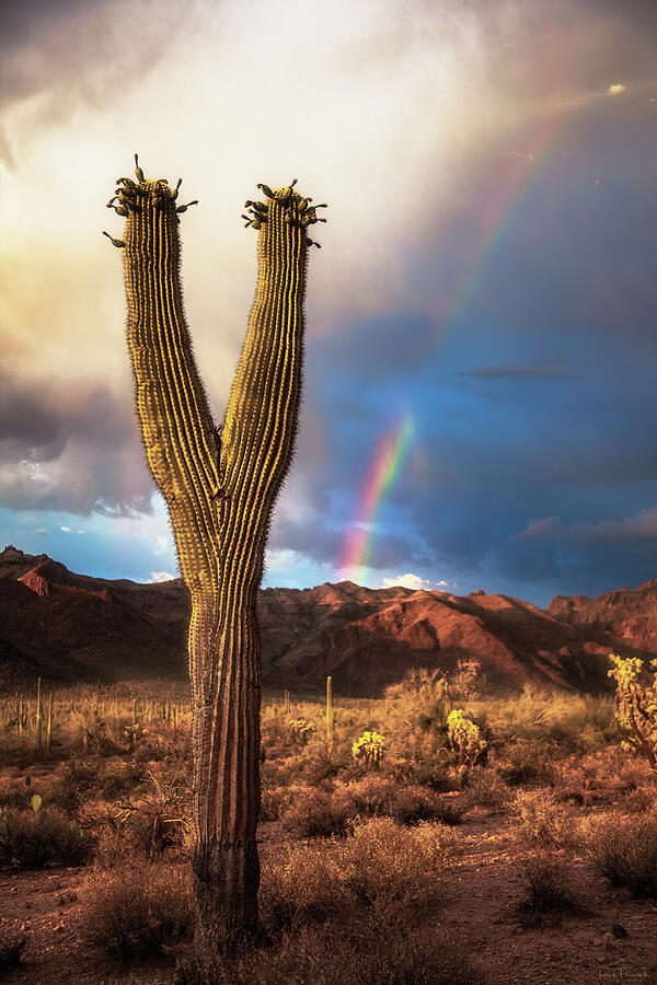 The Rainbow Before the Storm Photograph by Rick Furmanek