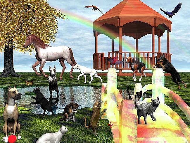 The Rainbow Bridge Digital Art by Michele Wilson