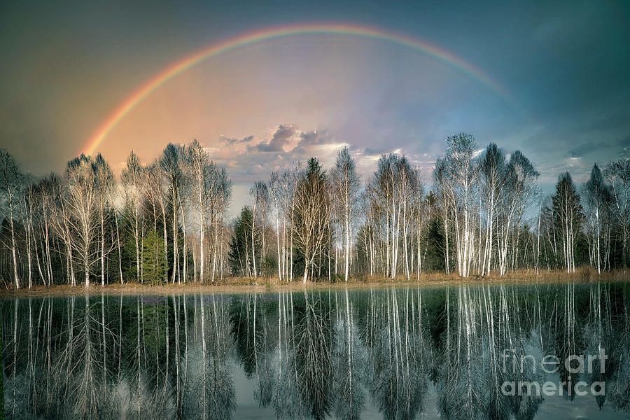The Rainbow Photograph by Edmund Nagele FRPS