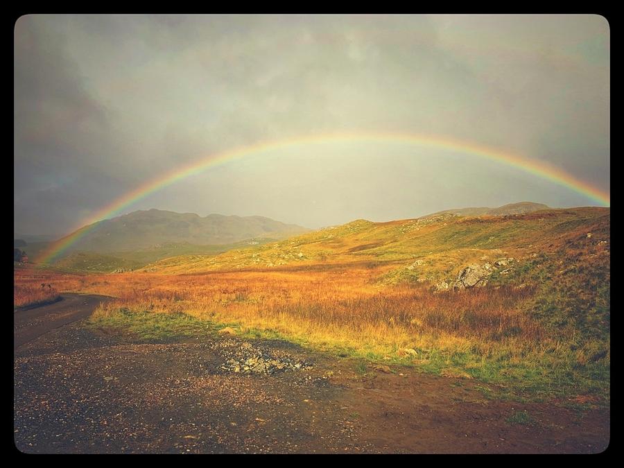 The Rainbow Photograph by Mark Egerton