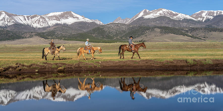 Horse Photograph - The Ranch Hands by Priscilla Burgers