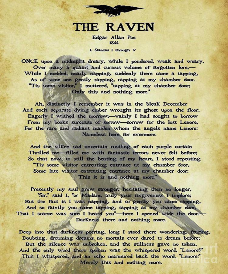 the raven Edgar Allan poe Digital Art by Trindira A