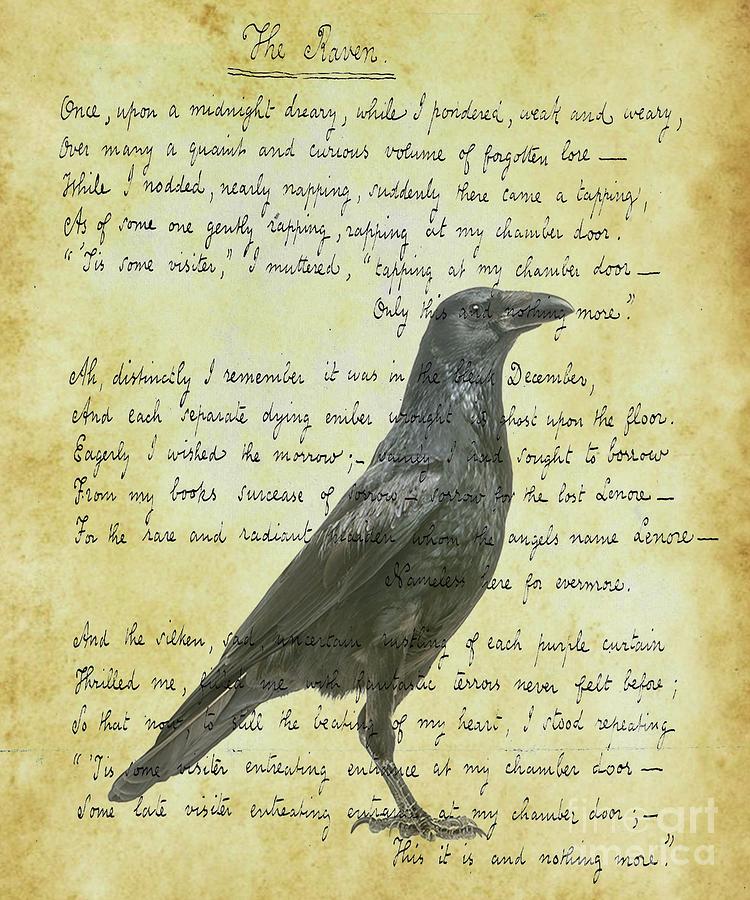 The Raven Hand Written Digital Art by Trindira A