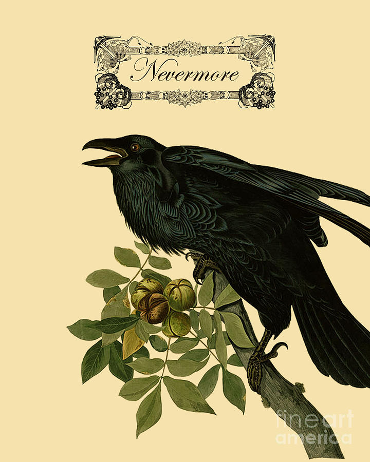 Raven Digital Art - The Raven by Madame Memento