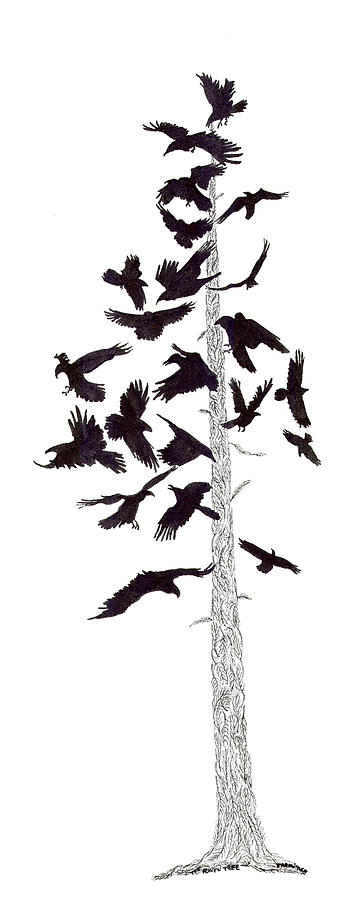 Raven Drawing - The Raven Tree by Jenny Armitage