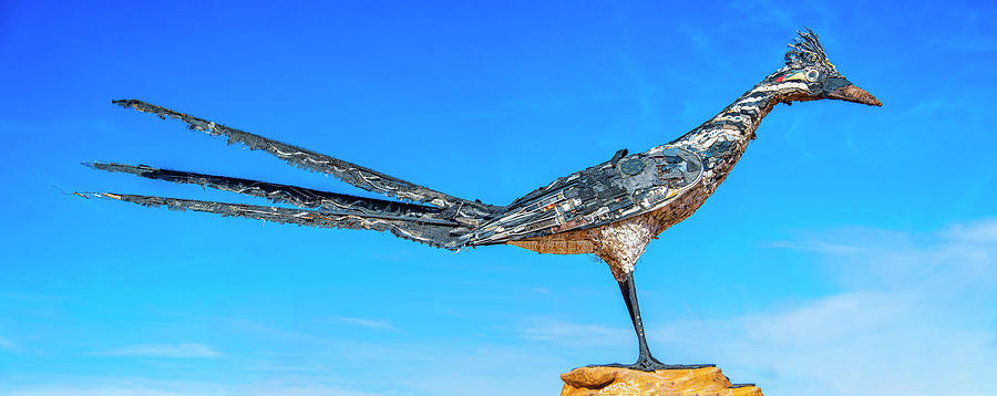 The Recycled Roadrunner of Las Cruces Photograph by Lynn Bauer