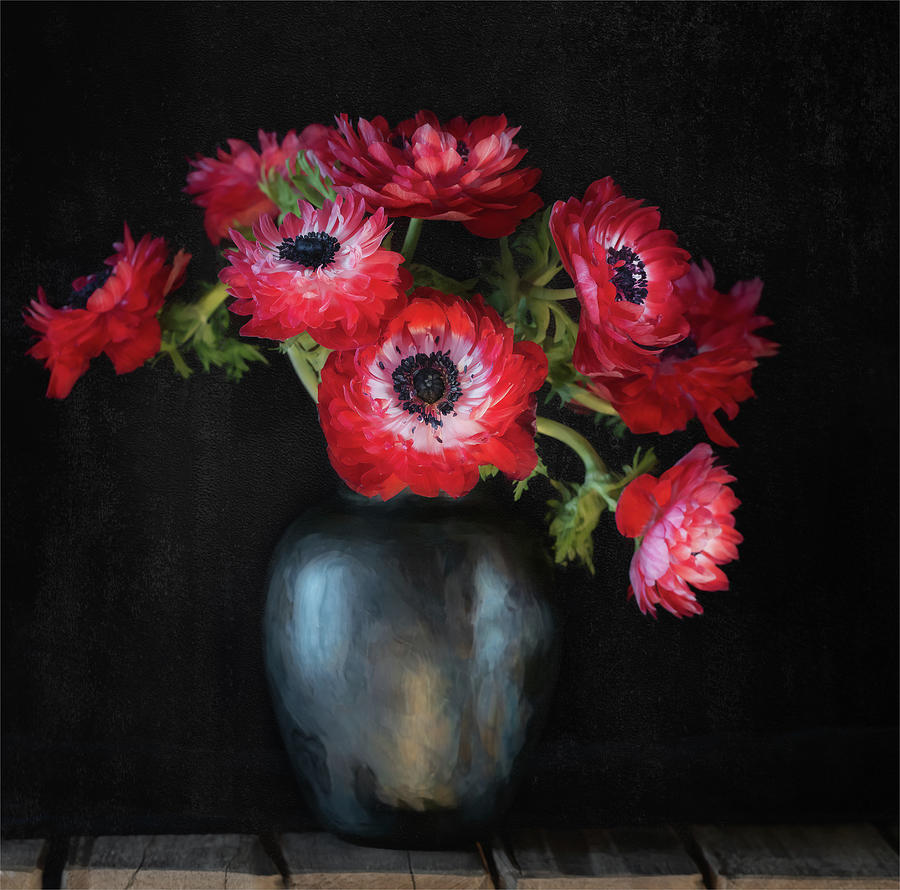 The Red Anemone Bouquet Photograph by Sylvia Goldkranz