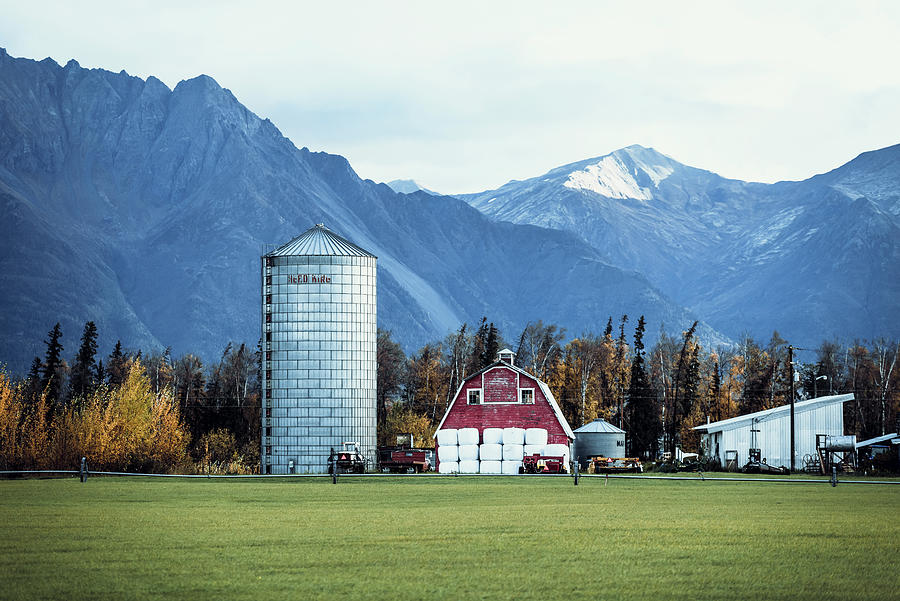 The Red Barn in Palmer Alaska Photograph by David Morefield