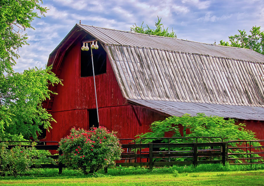 The Red Barn Photograph by Laura Vilandre