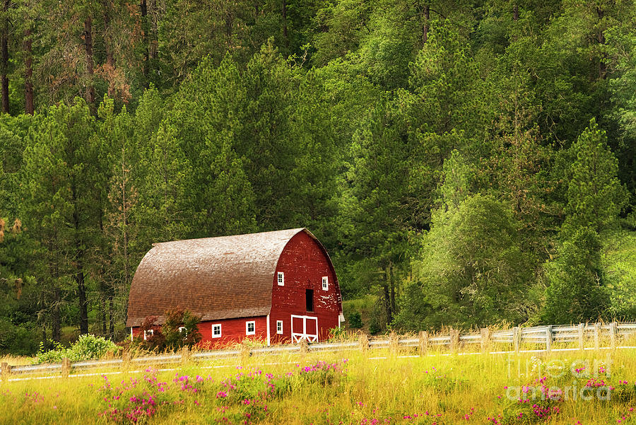 The Red Barn Photograph by Mary Jane Armstrong