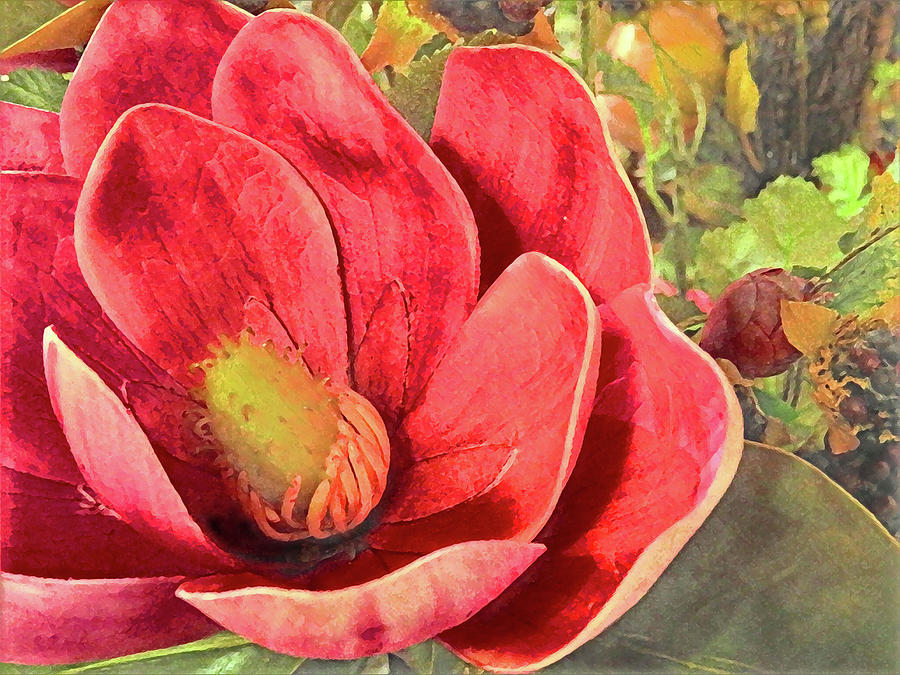 The Red Blossom Mixed Media by Sharon Williams Eng