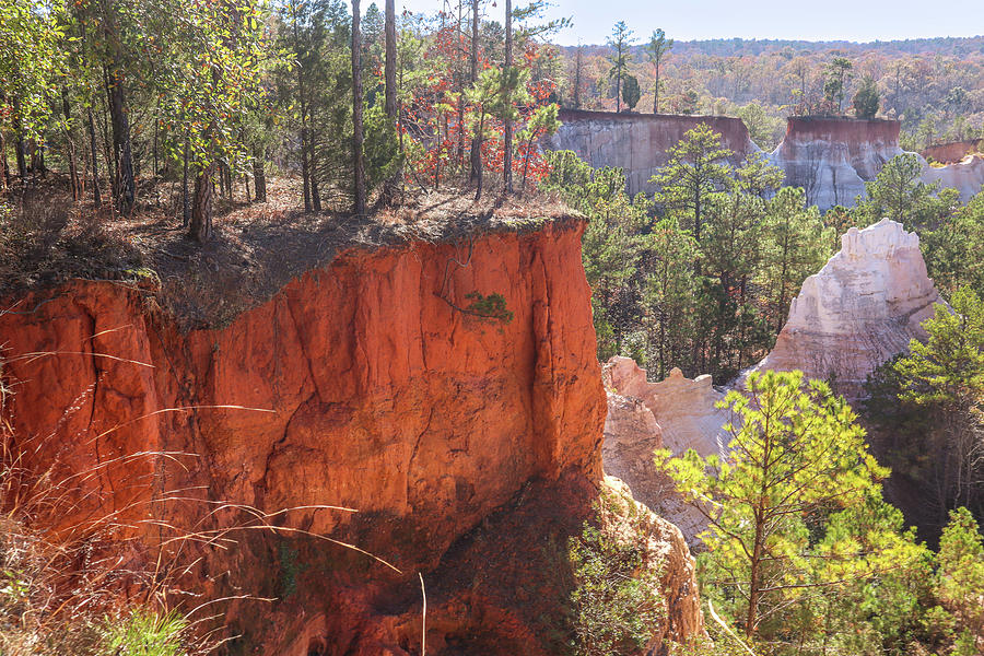 The Red Clay Cliff Photograph by Ed Williams
