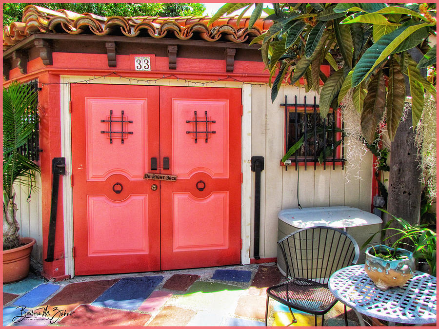 The Red Door Photograph by Barbara Zahno