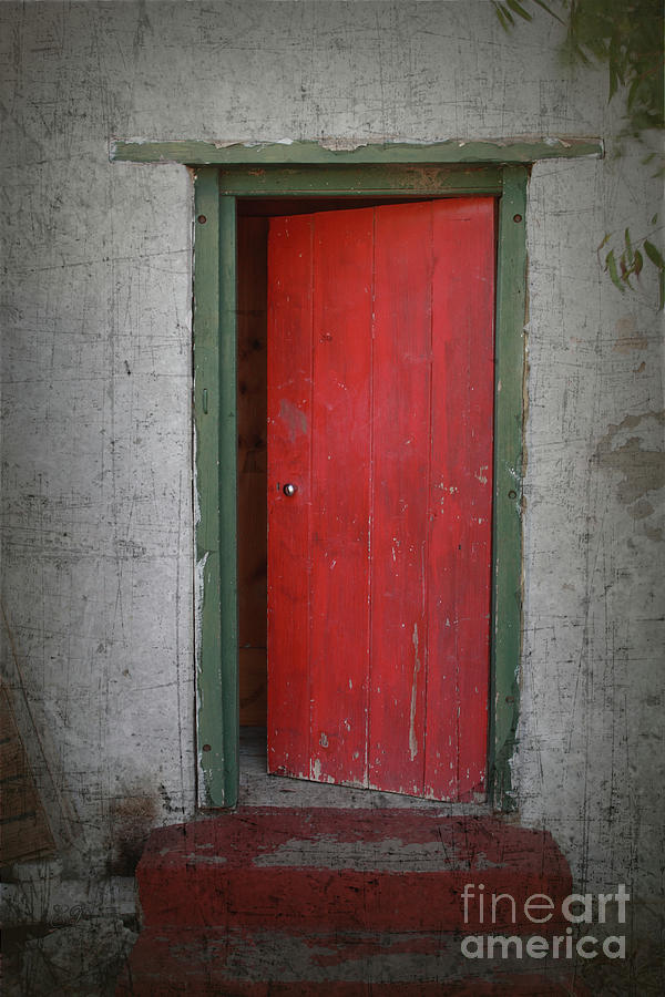 The Red Door Photograph by Elaine Teague
