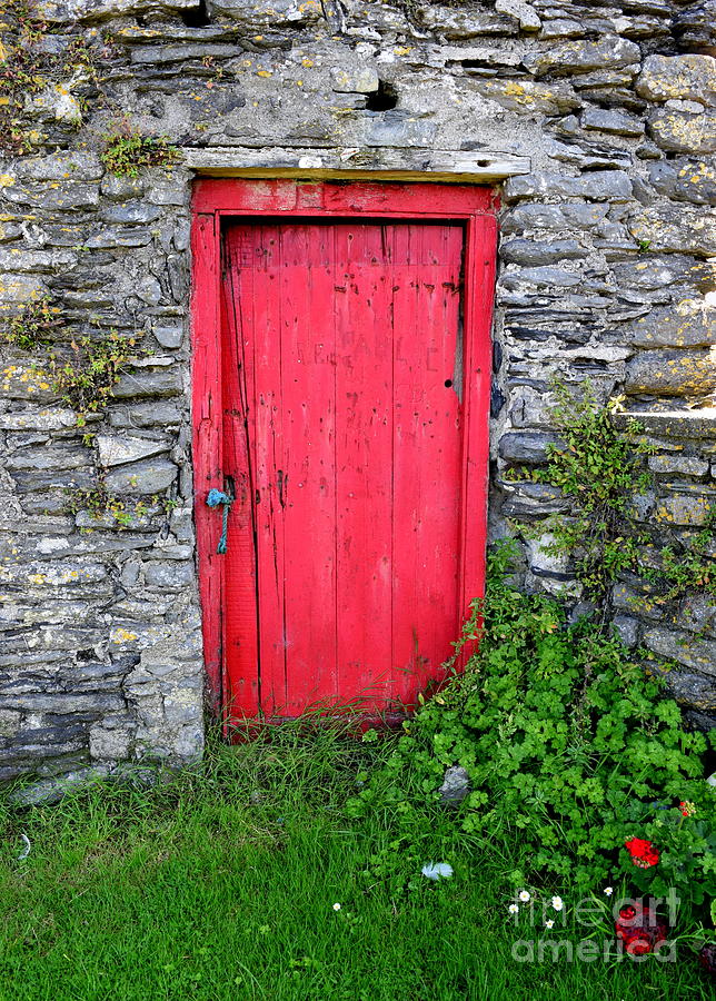 Red Photograph - The Red door by Joe Cashin
