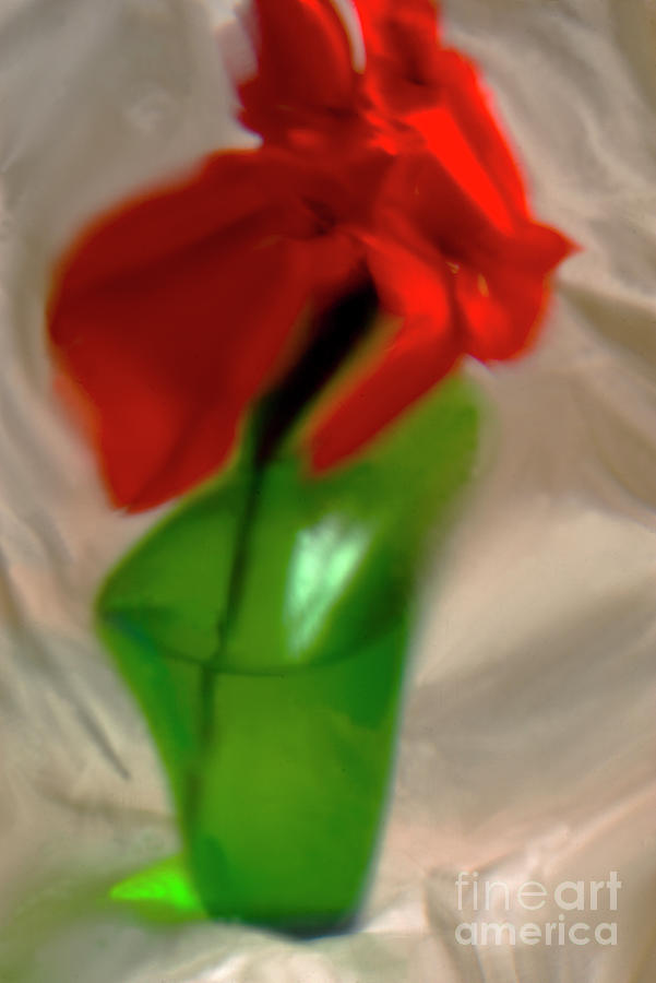 The Red Flower In A Green Vase. Photograph