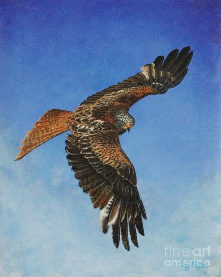 The Red Kite Painting by Bob Williams