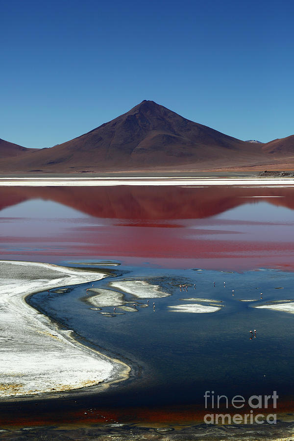 The Red Lagoon and Pabellon Volcano Bolivia Photograph by James Brunker