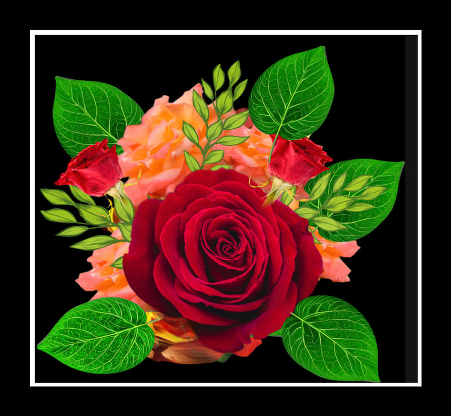 The Red Rose of Love Digital Art by Gayle Price Thomas