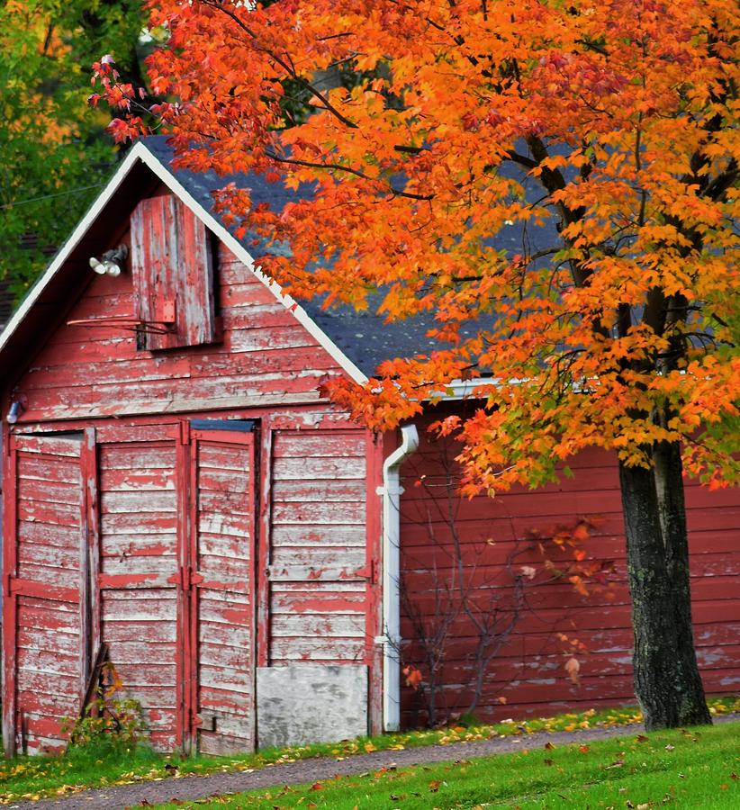 The Red Shed - North Shore Photograph by Jan Swart | Fine Art America