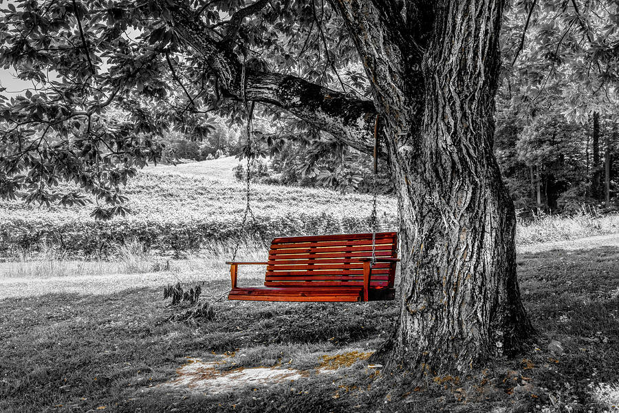 The Red Swing at Cartecay Black and White Photograph by Debra and Dave Vanderlaan