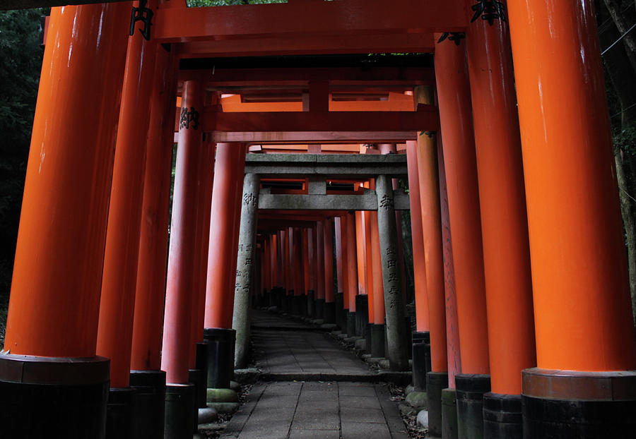 The red torii gate of fushimi inari kyoto japan Photograph by Foonyin ...