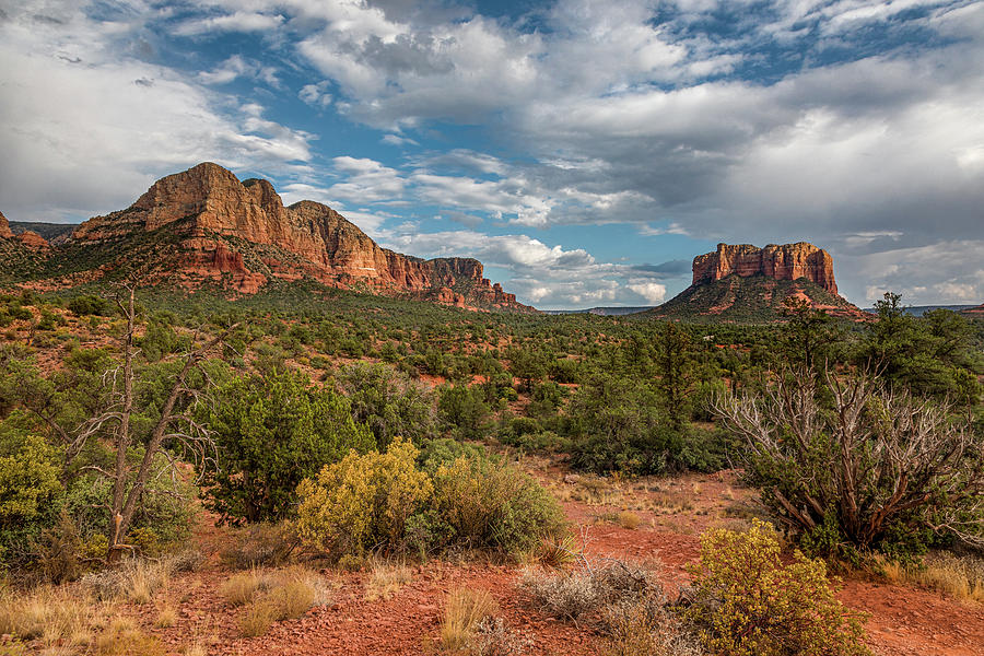 The Redrocks of Sedona Photograph by Peter Tellone