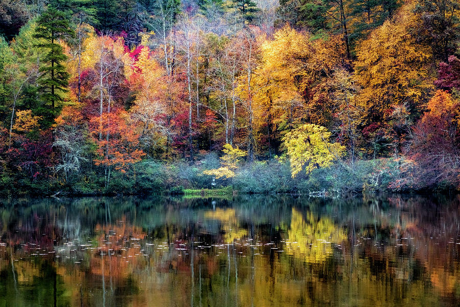 The Reflecting Colors of Autumn Photograph by Debra and Dave Vanderlaan