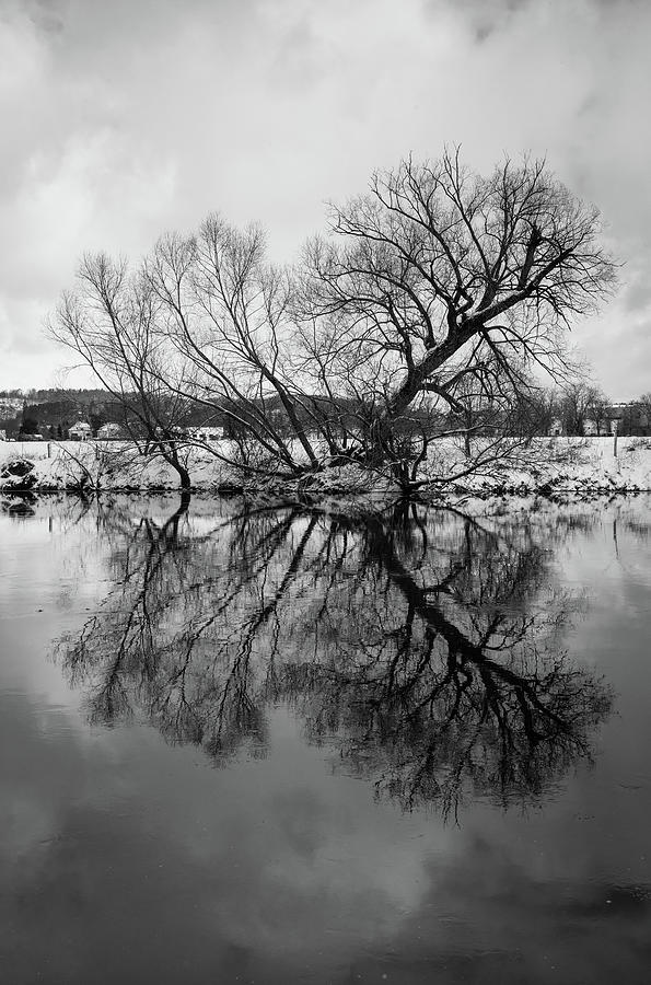 The Reflection of a Tree in Water Photograph by Martin Vorel Minimalist ...