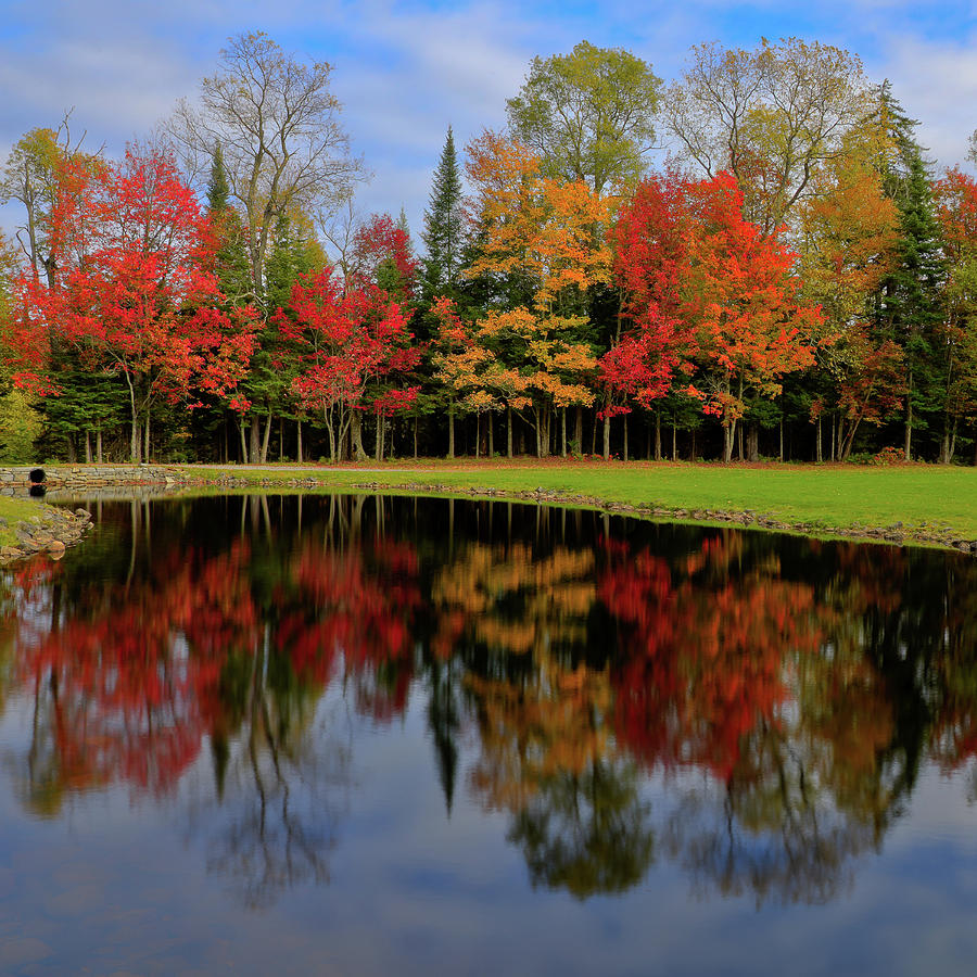 The Reflections of Autumn Photograph by David Patterson