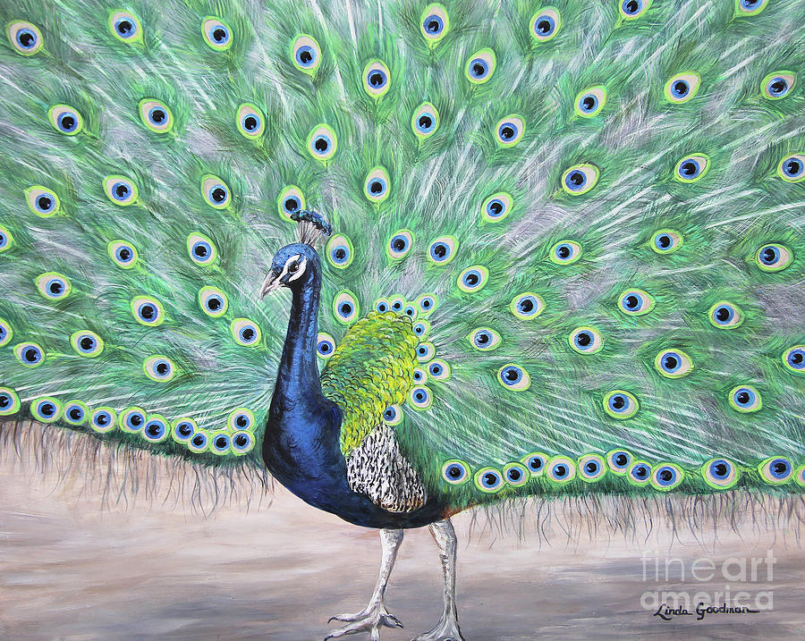 The Regal Peacock Painting by Linda Goodman