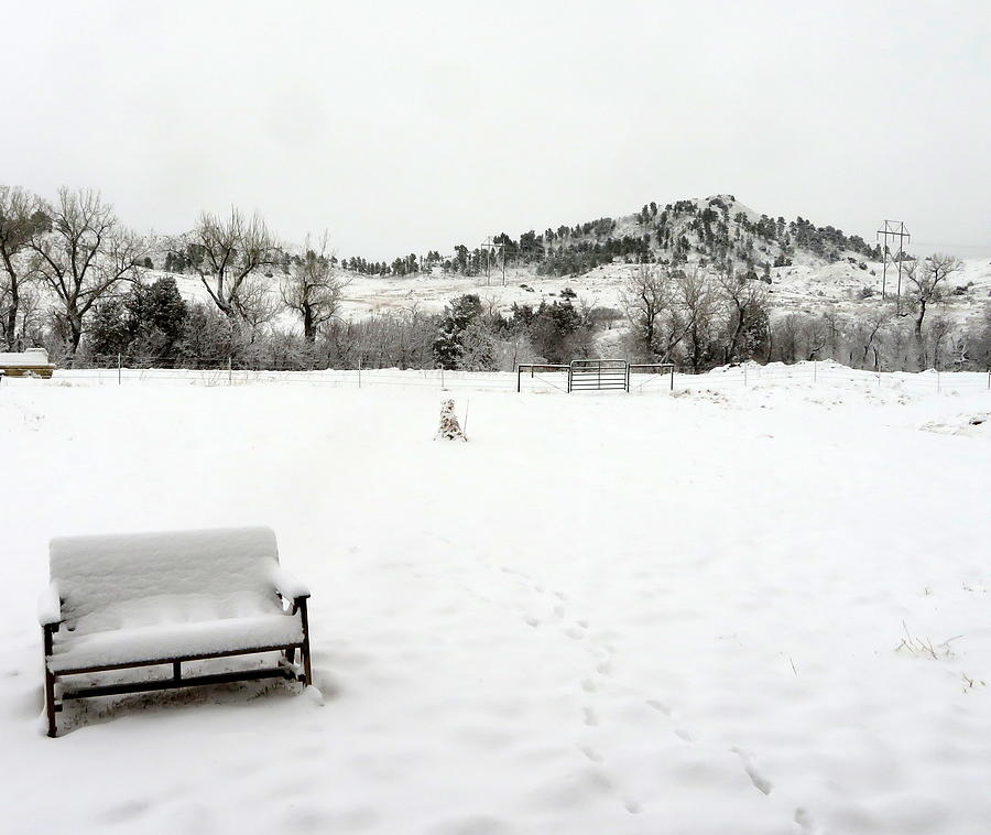 The Repose of Winter Photograph by Katie Keenan