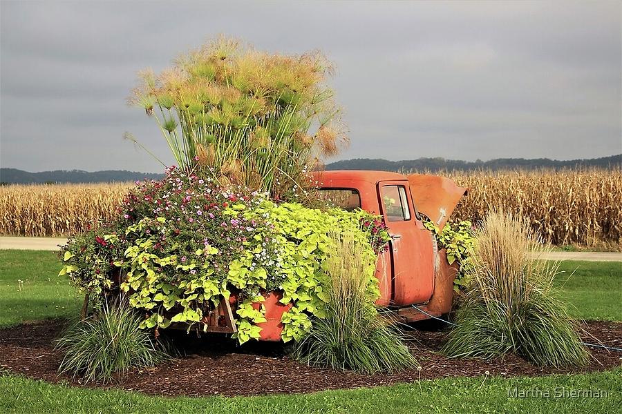Flower Photograph - The Retired Pickups Second Career, Autumn Version by Martha Sherman