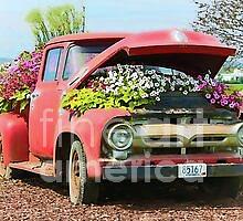 Flower Photograph - The Retired Pickups Second Career, Spring Version by Martha Sherman