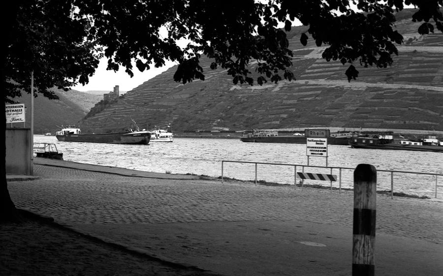The Rhein at Bingen Photograph by Lee Santa