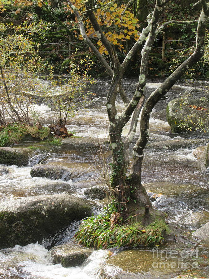 River Dart Photograph - The River Dart At Dartmeet in Autumn - Devon UK by Lesley Evered