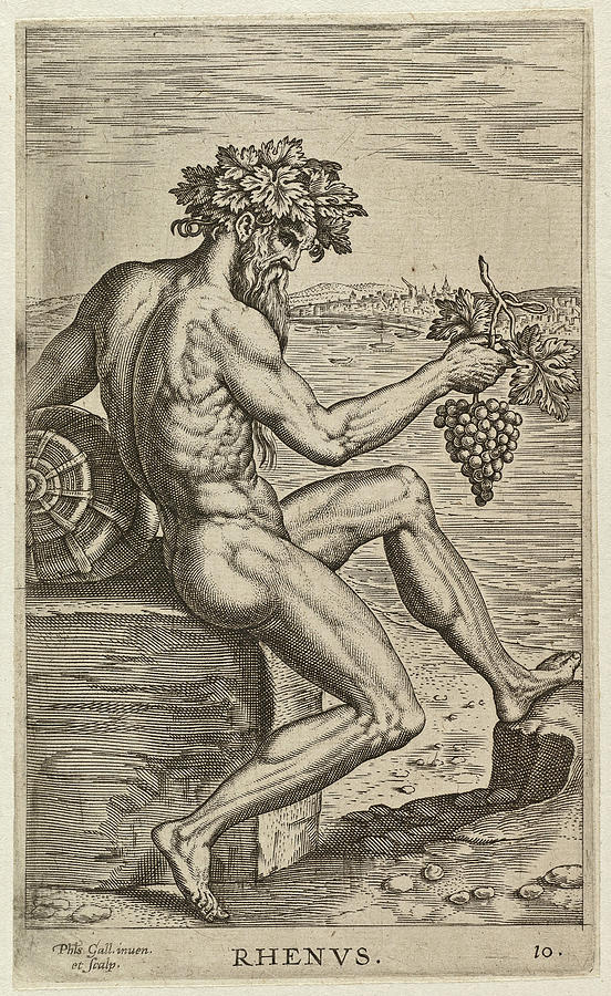 The river god Rhenus of the Rhine, seated on a stone. A bunch of grapes in his hand Drawing by Philip Galle