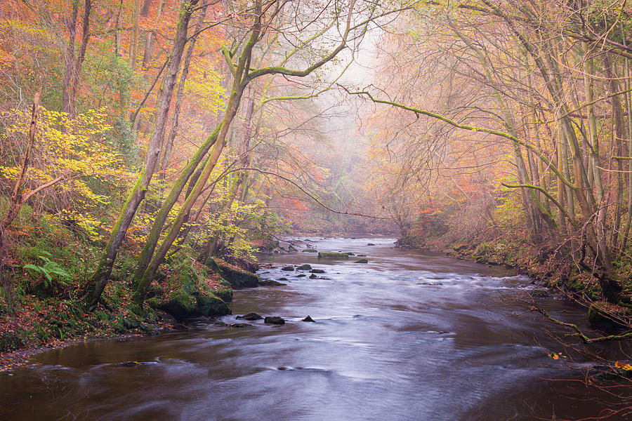 The River in Autumn Photograph by Anita Nicholson