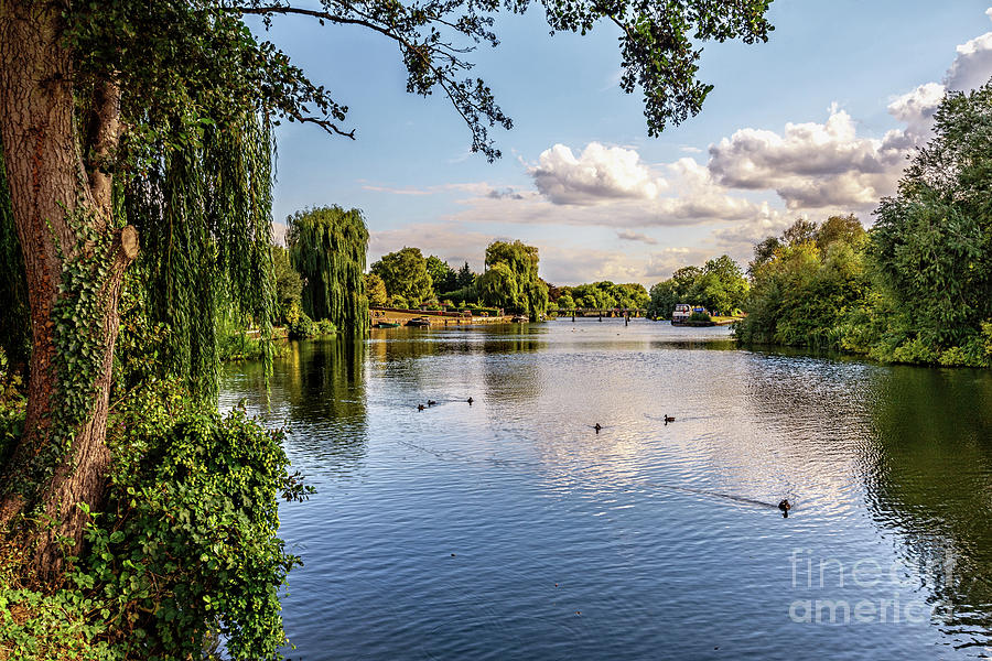 The River Thames at Benson Photograph by Ian Lewis - Pixels