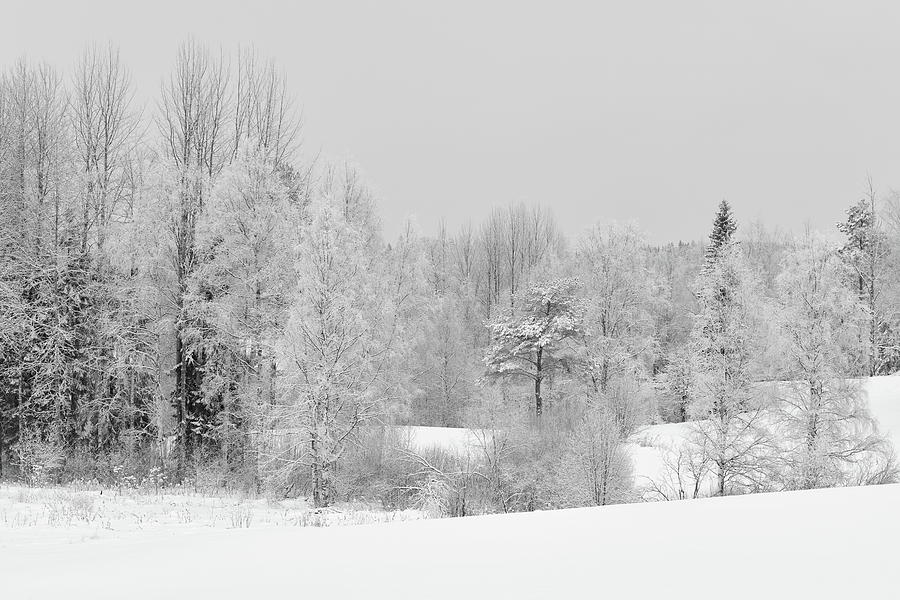 Nature Photograph - The river valley. Parkkuu winter 2023 bw by Jouko Lehto
