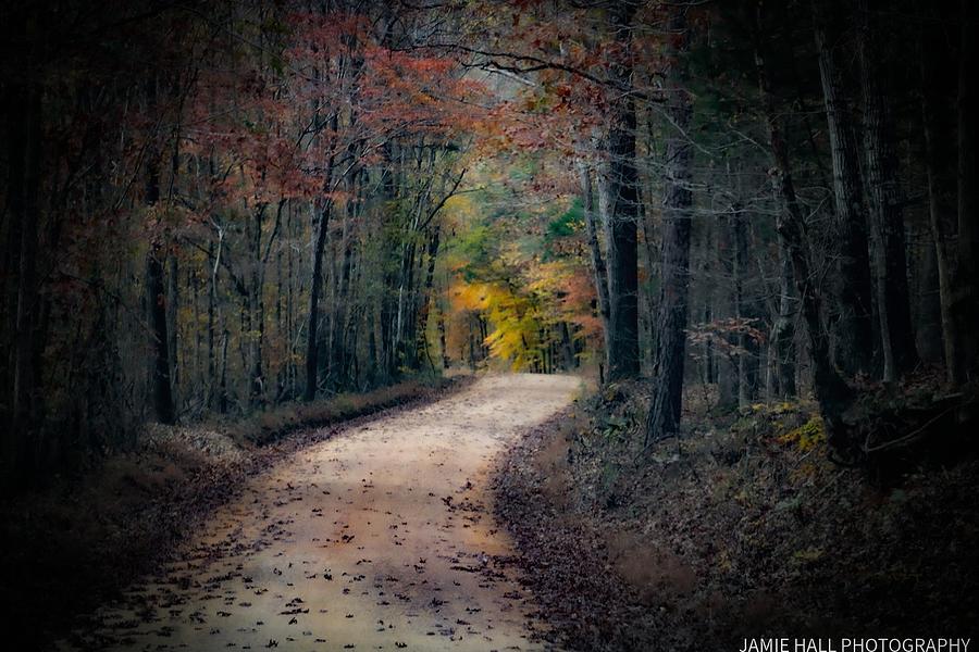 The Road Im On