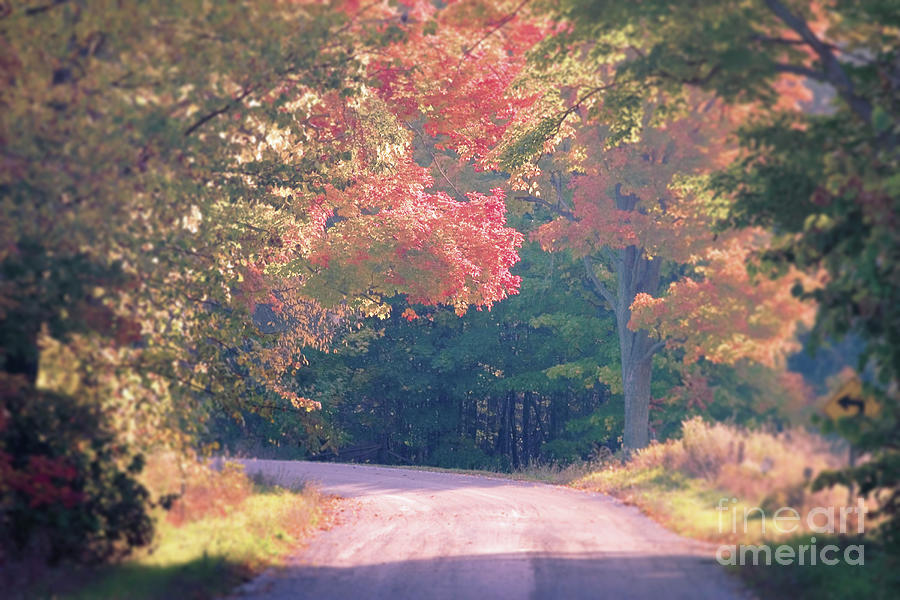 The Road Less Traveled. Isle LaMotte, VT Photograph by George Robinson