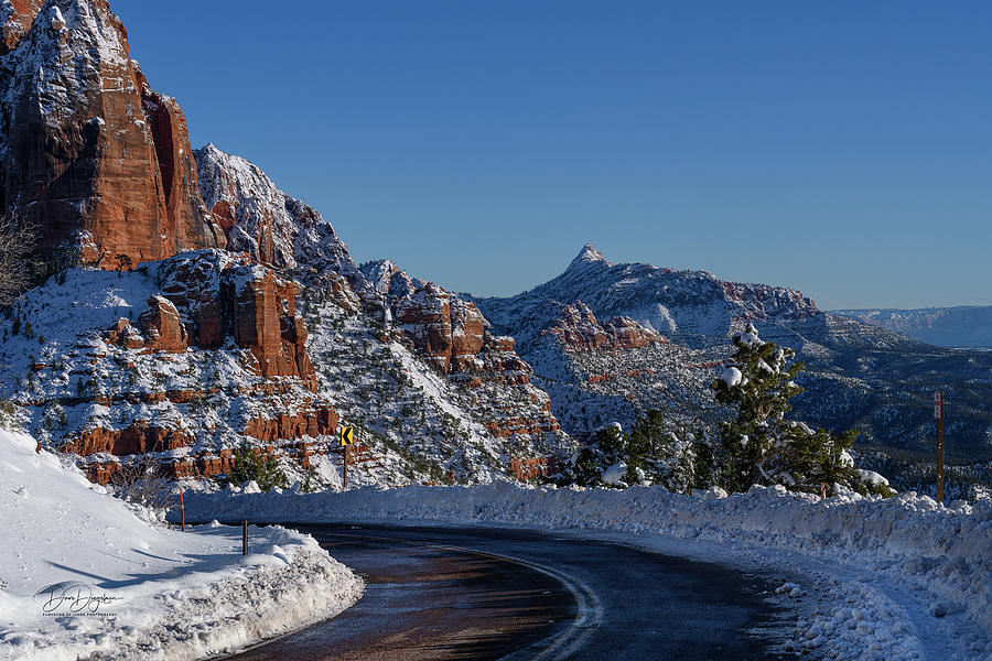 The Road Less Traveled Zion National Park Photograph by Dave Diegelman