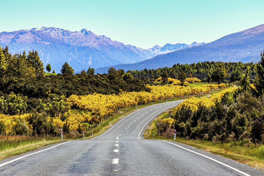 Fiordland National Park Photograph - The Road Out by Lance Mosher