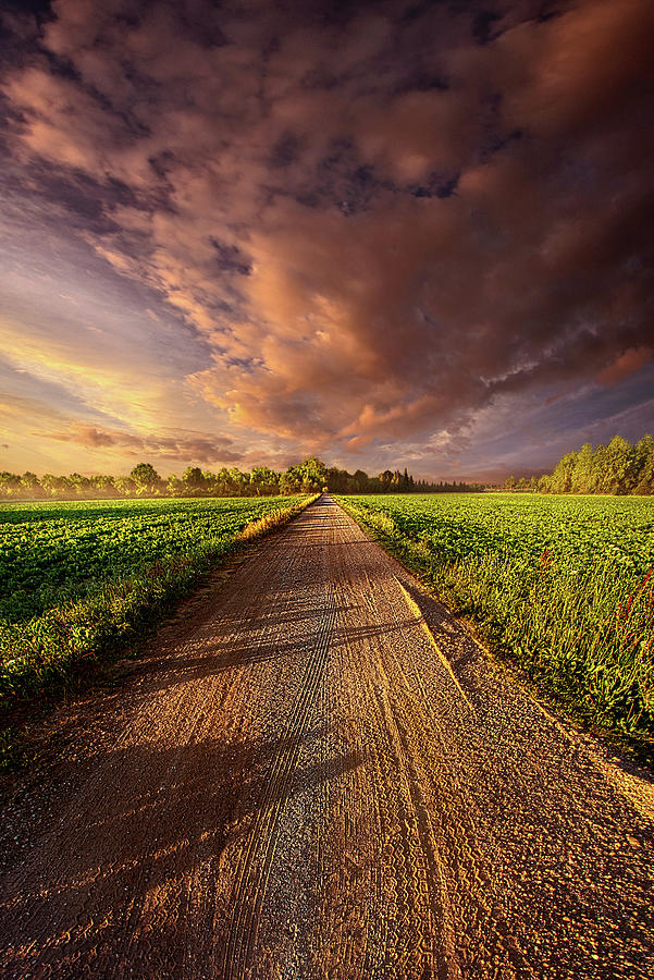 The Road Taken Photograph by Phil Koch