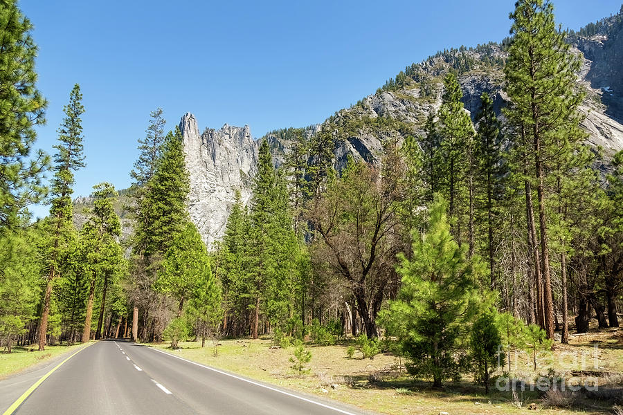 The road through Yosemite National Park, California, USA Photograph by Jane Rix